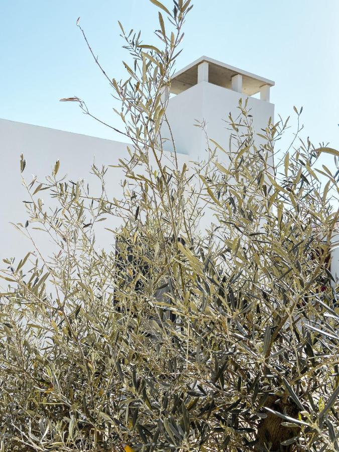Olhão B&B Alma Do Campo מראה חיצוני תמונה